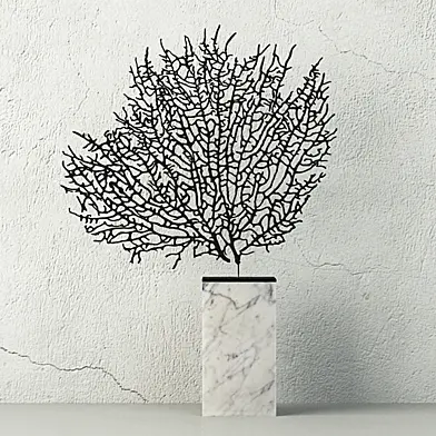 Natural Exotic Sea Fan