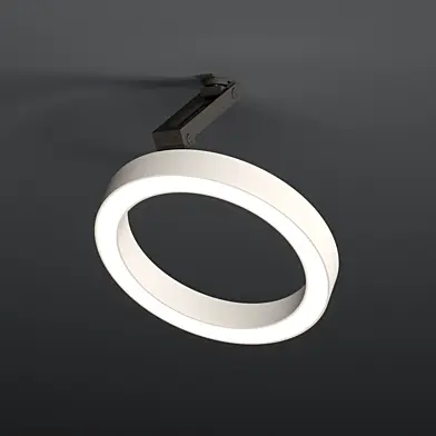 Ceiling Lamp Forstlight Ring Turn