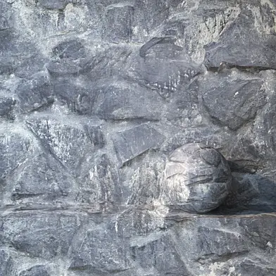 A rock