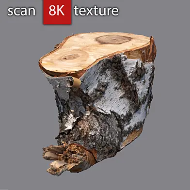Stump 3