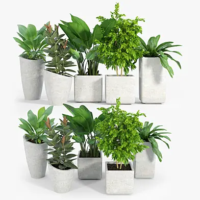 Set crate and barrel three