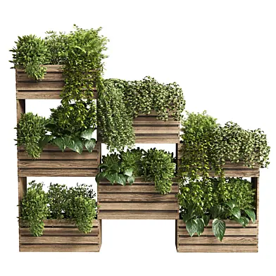 Indoor plant-plant stand bax wood vase 04