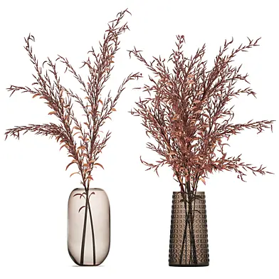 Bouquet of red branches of dried flowers in a glass vase with Goldenrod, Solidago. Set 153.