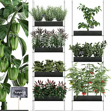 Vertical gardening kitchen garden garden with vegetables, tomatoes, peppers, herbs, lettuce, rosemary. Set 70.