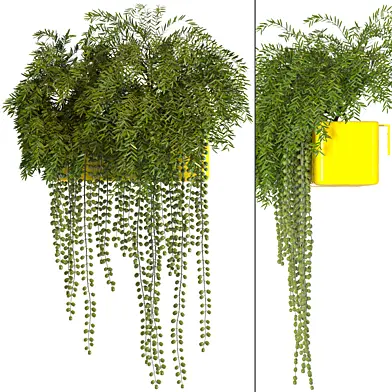 outdoor plant vol 01-yellow plant box
