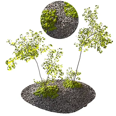 environment element 01