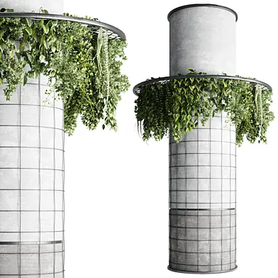 Column plant 01