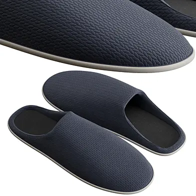 Slippers 2