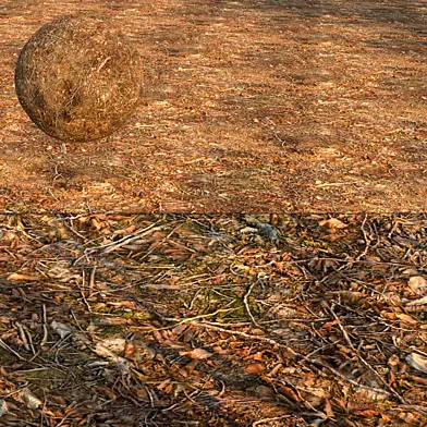 Ground-035