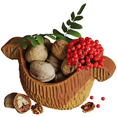 Rook with walnuts and rowan berries