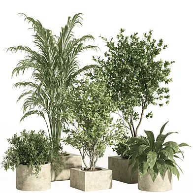 indoor plant set 62-Concrete pot