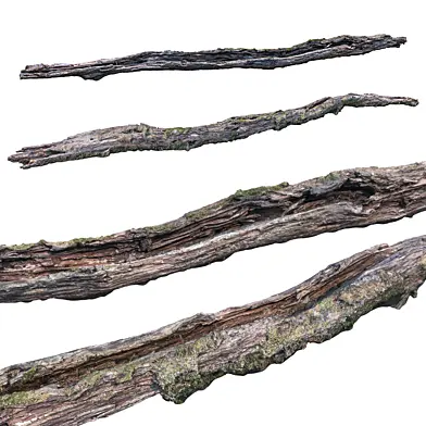 Rotten log, snag