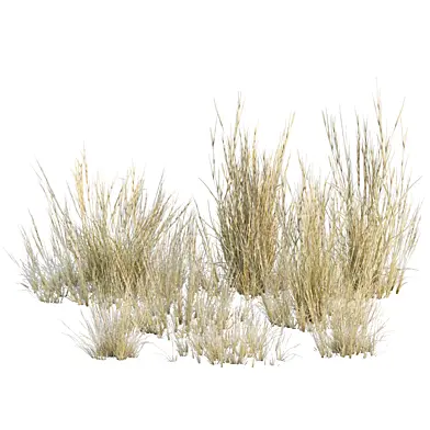 Low poly 3d wild dry grass collection vol 278