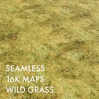 Material Wild Grassland | Seamless | PBR