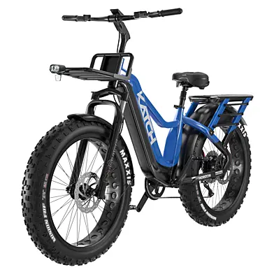 Fatbike bicycle