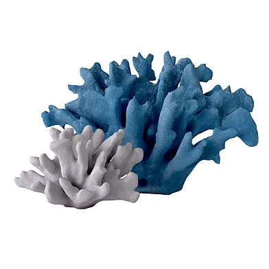 Coral Decoration