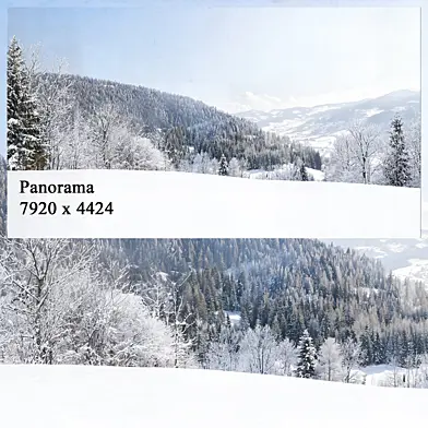 Winter panorama
