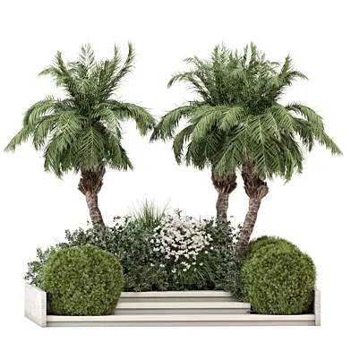 Outdoor Plants Palm Garden_Set 4177