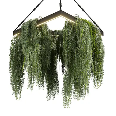 plant vol 936 - hanging - ivy - Fern - Chandelier