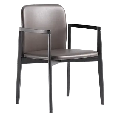 Siloe PW Armchair by frag.it