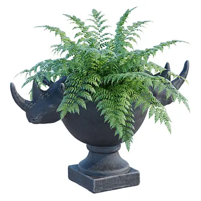 Rhinoceros head