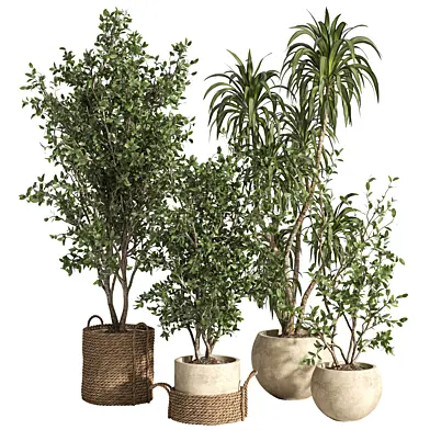 indoor plant set 109 rattan and stone