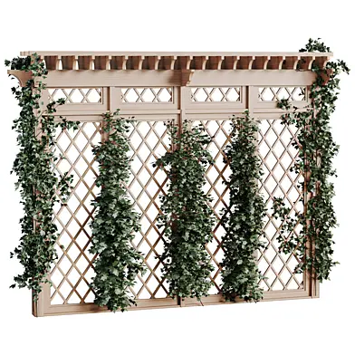 Wooden Garden Pergola Climbing Plants 01