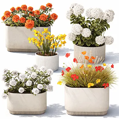 A collection of white hydrangea, peonies, and poppy seeds in outdoor flowerpots and planters. Set of 1503 plants.