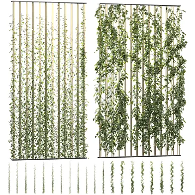 Wall of ivy leaves