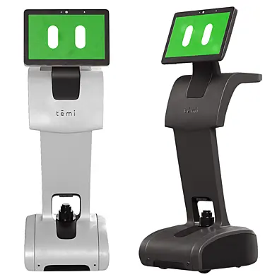 Mobile robot Temi