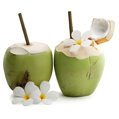 Coconut Frangipani flowers