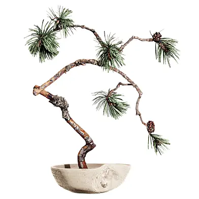 Plants Set 400