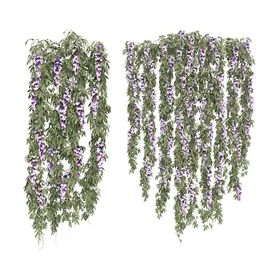 Hanging Plant Set