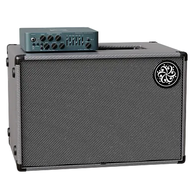 Bass Amplification Stack Darkglass Alpha-Omega 900 and Darkglass 210NE 2x10