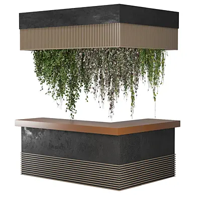 Reception desk with Hanging Plants 2796