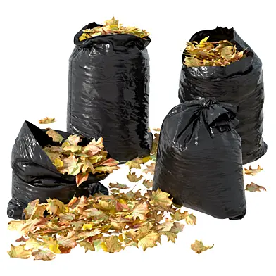 Autumn leaves in garbage bags