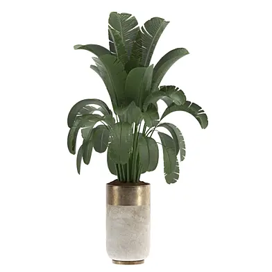 indoor-plant-016