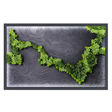 Vertical garden295