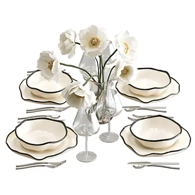 Tableware with a black rim