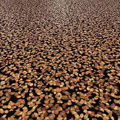 Seamless asphalt road surface with fallen autumn leaves