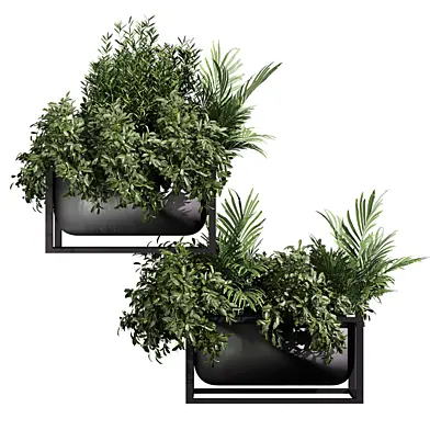 plant vol 1236 - bush - palm - box