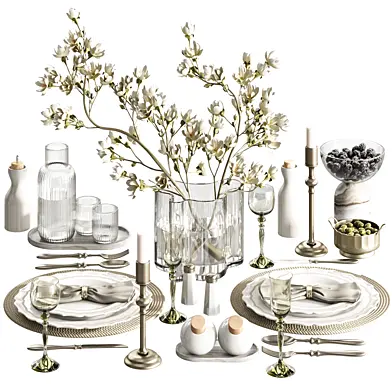 tableware 24