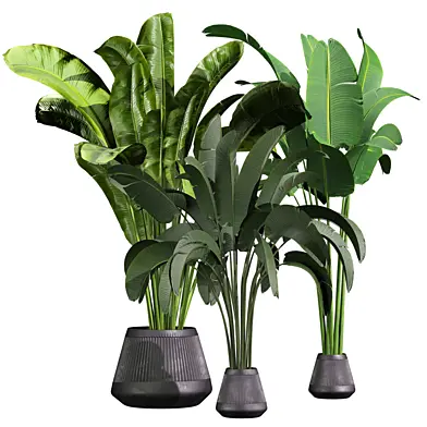 plant vol 1257