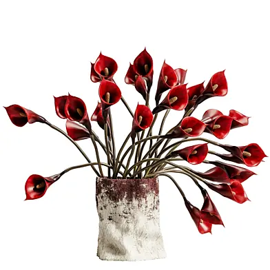 plants_bouquet_vase_130_Calla_lily_red