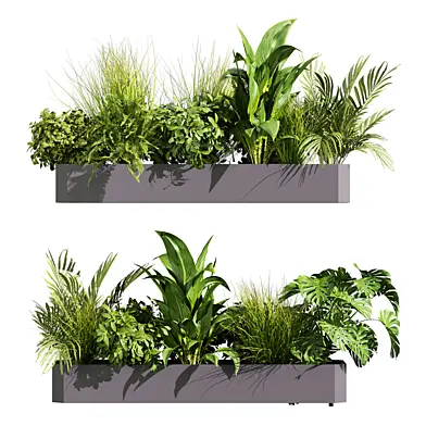 plant vol 1274