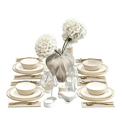 Tableware set for serving with a bouquet of hydrangeas