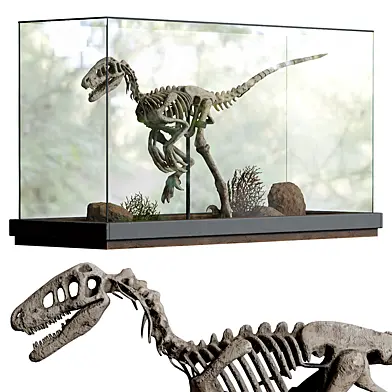 Exhibit dinosaur skeleton