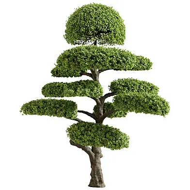 Cloud Topiary Tree Vol 10