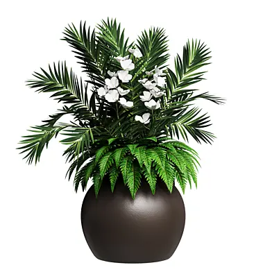 Bouquet of orchids and leaves of fern and palm