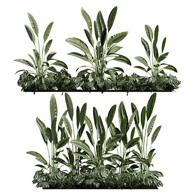plant vol 1308 - garden - banana
